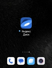Запуск клиенского приложения MEGA — шаг 4